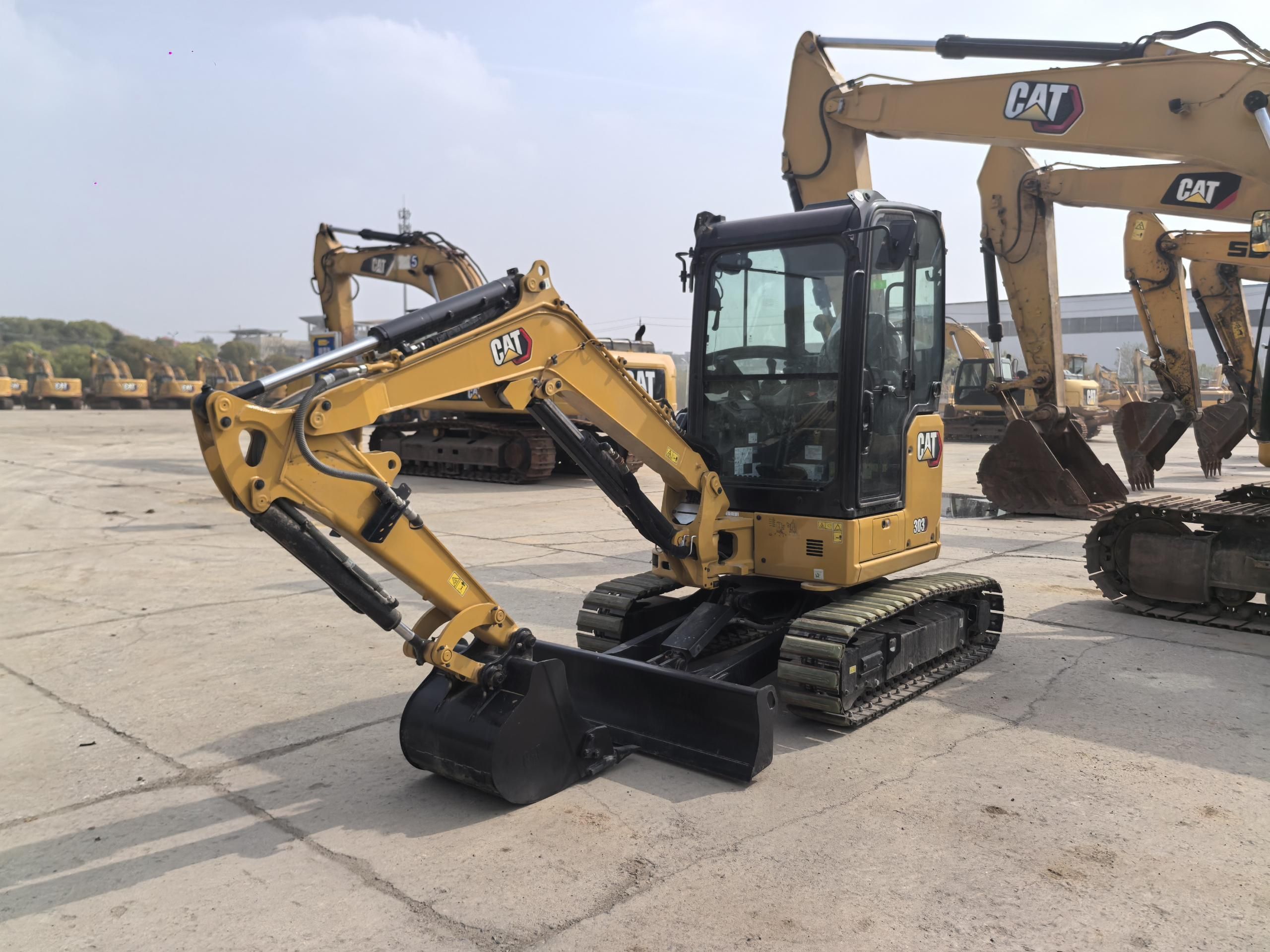 Cat 303 photo 2