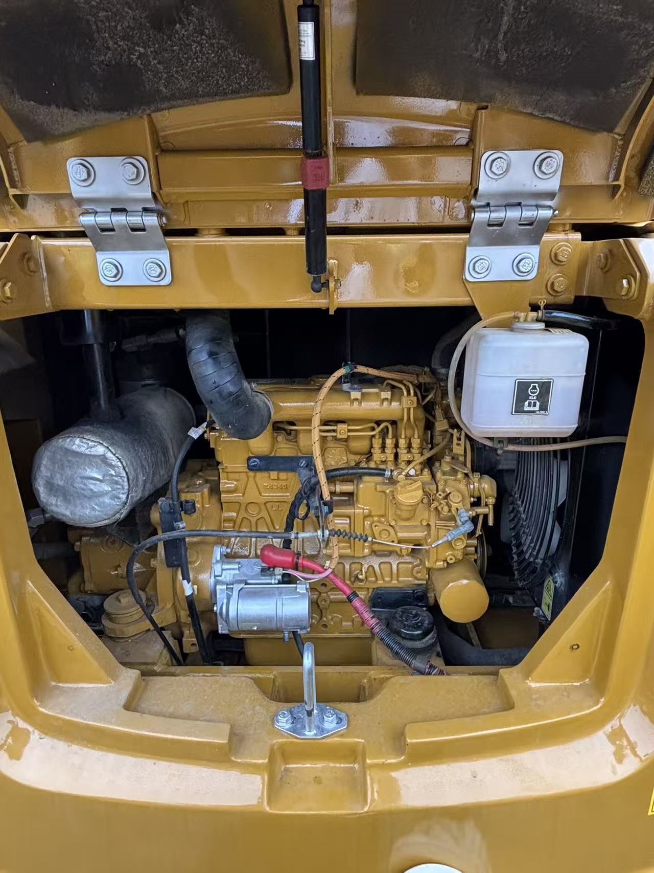 Cat 305.5 photo 9