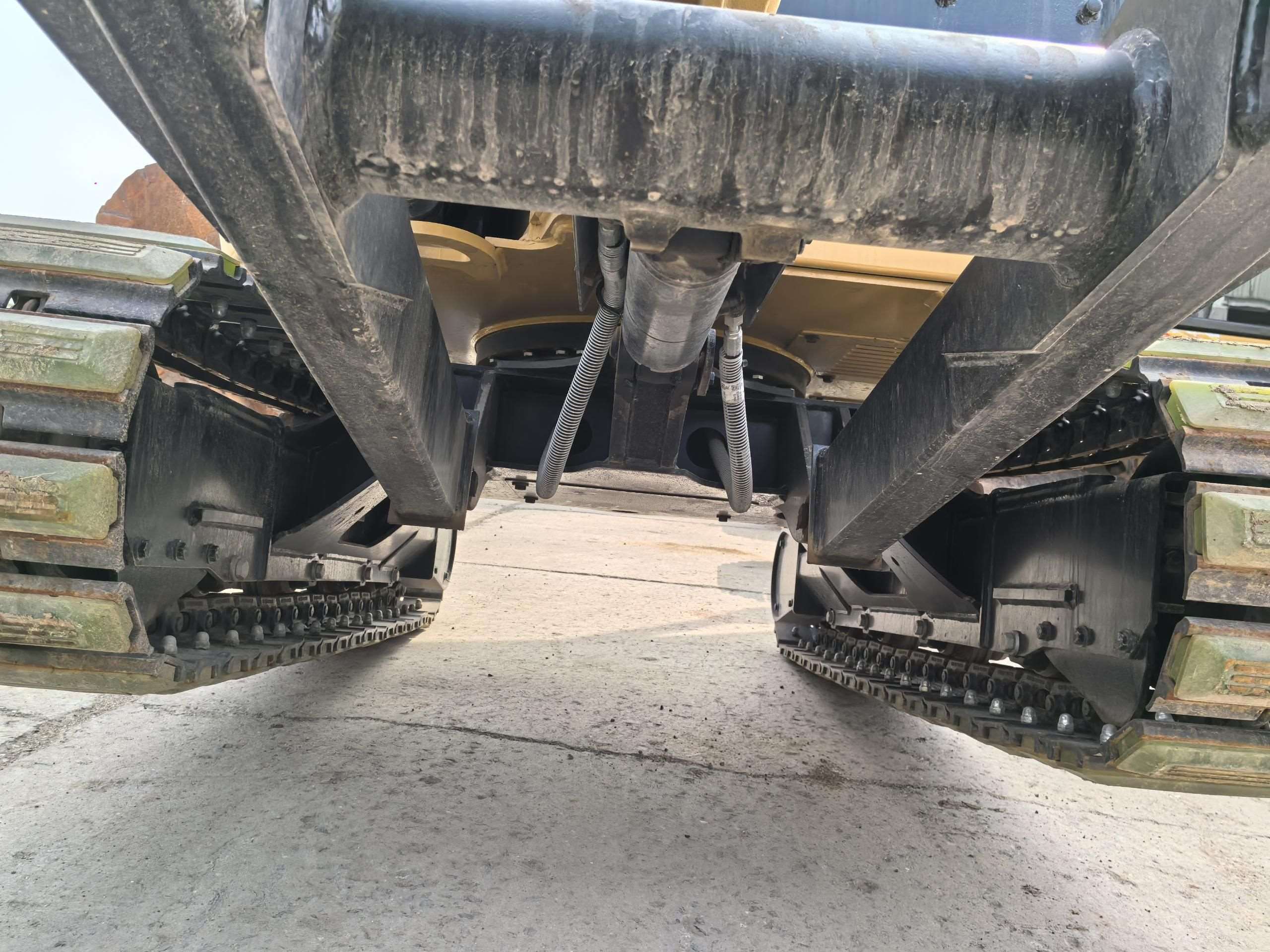 Cat 303 photo 8